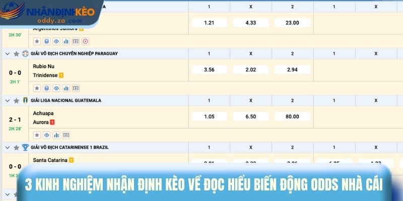 Kinh Nghiệm Nhận Định Kèo - Phân Tích Đúng Trước Khi Cược 2 3 kinh nghiệm nhận định kèo về đọc hiểu biến động odds nhà cái