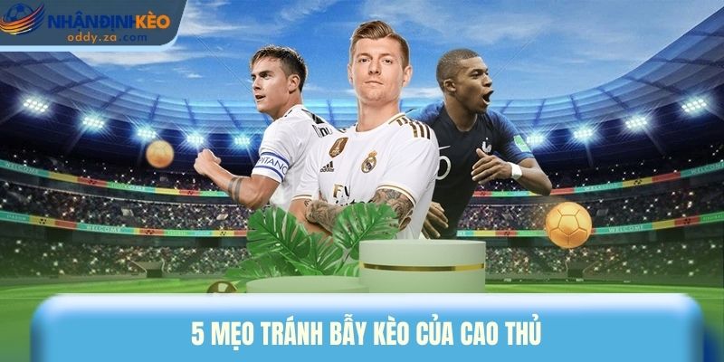 Kinh Nghiệm Tránh Bẫy Kèo - Chiến Lược Giữ Lợi Nhuận Cá Cược 3 5 mẹo tránh bẫy kèo của cao thủ