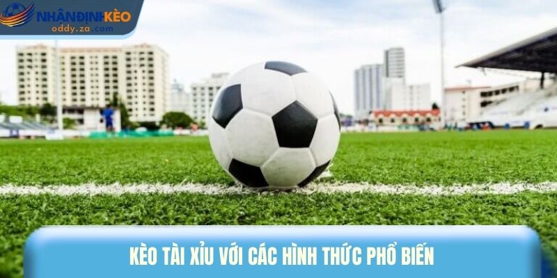 Kèo Tài Xỉu Là Gì? Cách Đọc Và Bắt Kèo Chuẩn Từ Cao Thủ 3 Kèo tài xỉu với các hình thức phổ biến