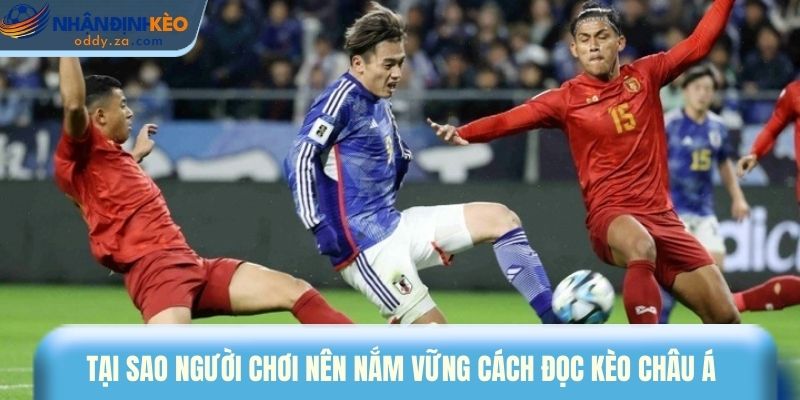 Tìm Hiểu Kèo Châu Á Và Cách Phân Tích Tỷ Lệ Kèo Chuẩn 2 Tại sao người chơi nên nắm vững cách đọc kèo Châu Á